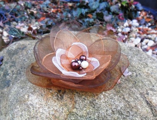 Růže v odstínech kávy — foto 3