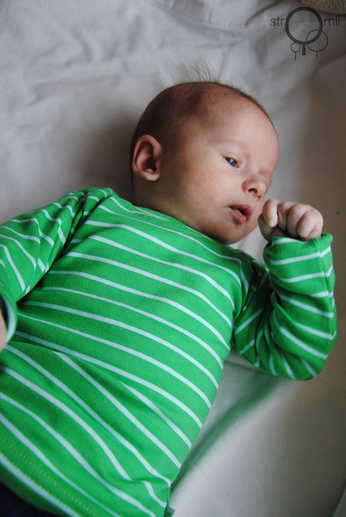 Zelené s pruhem, vel. 3-6 M — foto 2