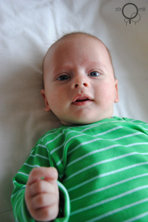 Zelené s pruhem, vel. 3-6 M — foto 4
