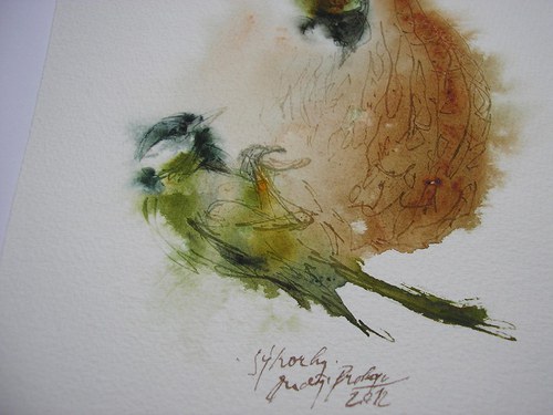 Sýkorky,originální akvarel — foto 3