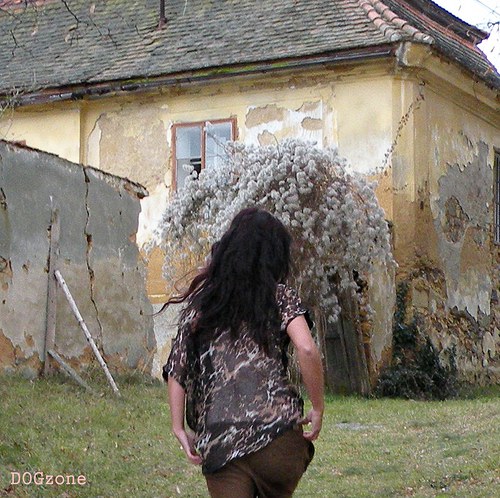 Pitt trojhlavý.....triko — foto 4