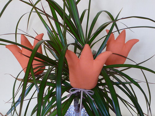 Sada tří oranžových tulipánů — foto 5