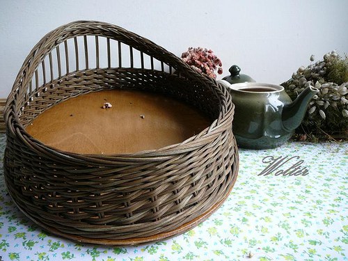 Tác jednoroh - olivový — foto 2
