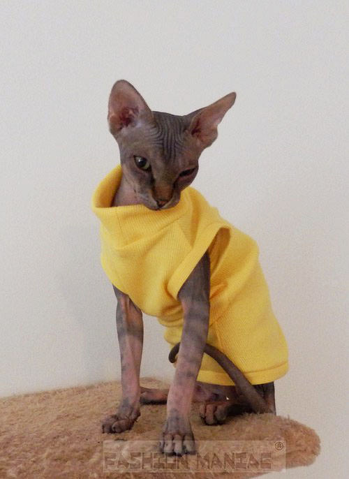 Triko pro Sphynxe — foto 2