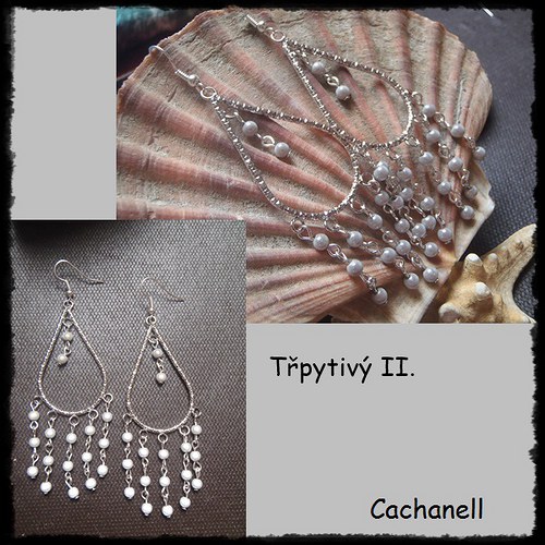 Třpytivý II. — foto 2