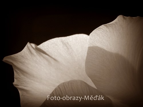 Už je mi lépe... — foto 2