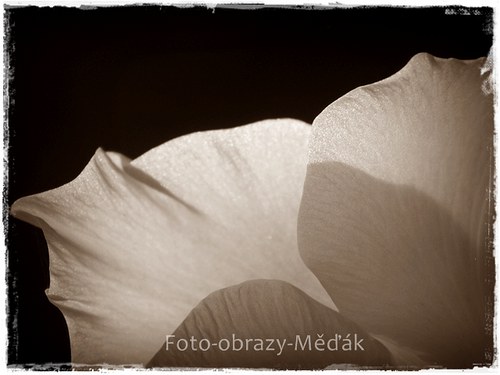 Už je mi lépe... — foto 3
