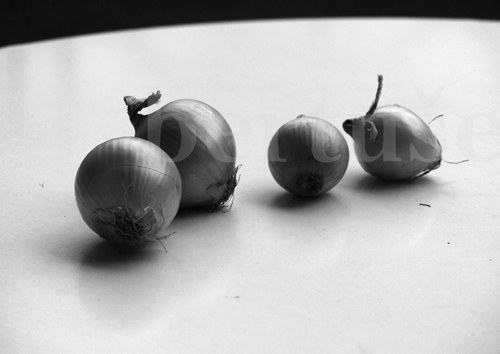 4 cibule — foto 2