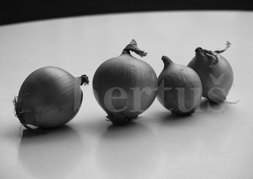 4 cibule — foto 3