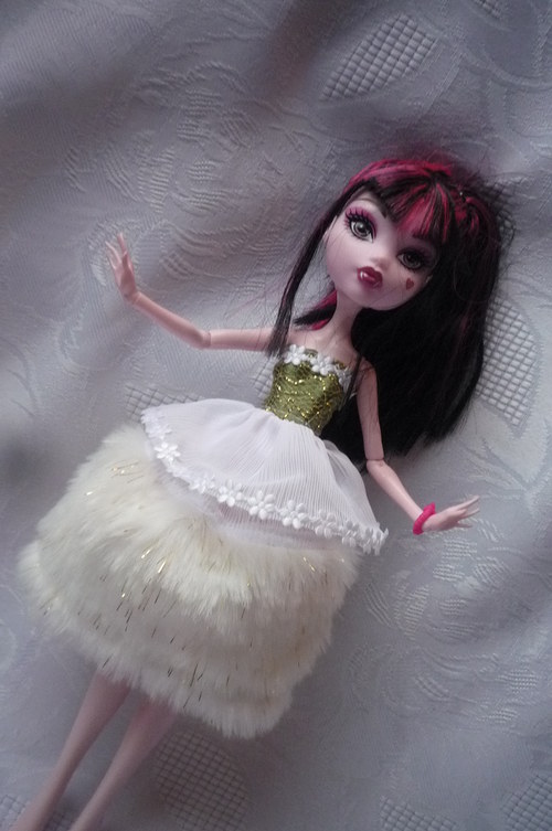 Narozeninový dárek pro Monster High — foto 2