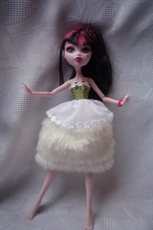 Narozeninový dárek pro Monster High — foto 3