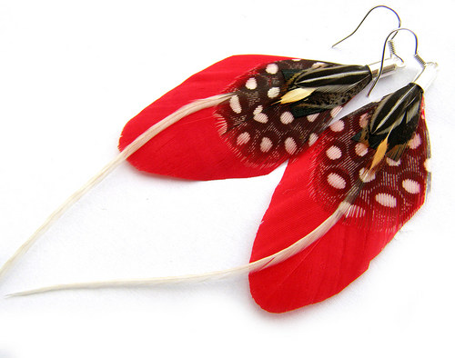 Red Wings — foto 2