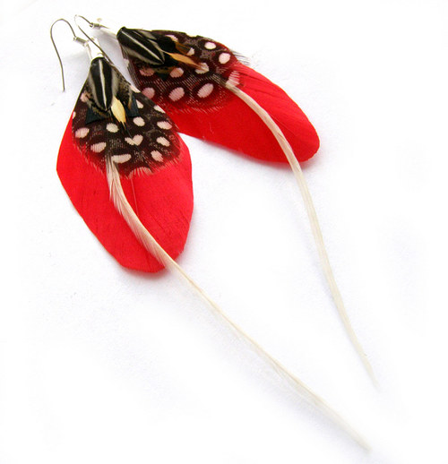 Red Wings — foto 4