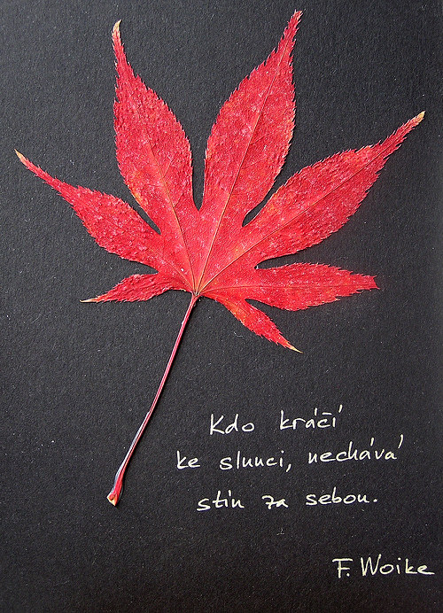 Kdo kráčí ke slunci — foto 3