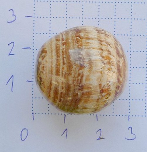 Aragonit č.1 - valounek 1ks — foto 2