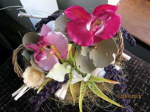 Orchidej trio v košíku-REZ.Heidy — foto 2