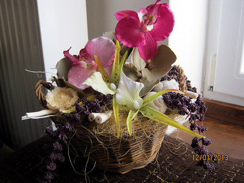 Orchidej trio v košíku-REZ.Heidy — foto 4