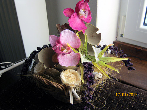 Orchidej trio v košíku-REZ.Heidy — foto 5