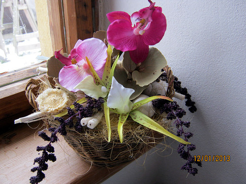 Orchidej trio v košíku-REZ.Heidy — foto 6