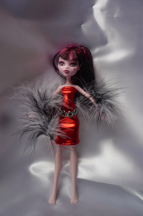 Na párty pro Monster High — foto 5