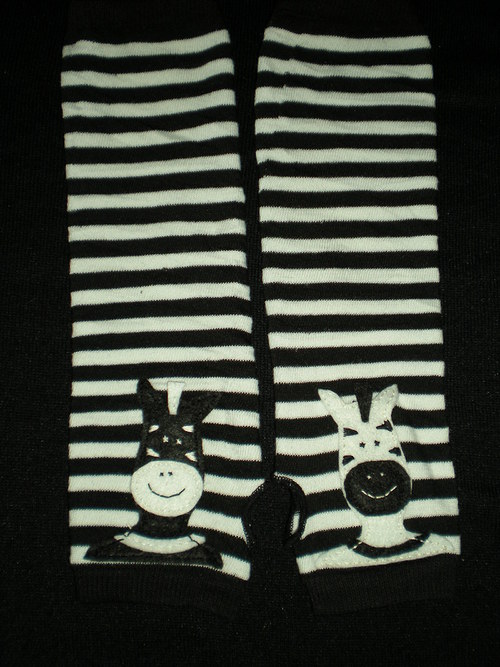 Návleky zebra — foto 2