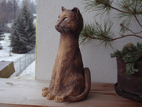 Kočička Micinka — foto 3