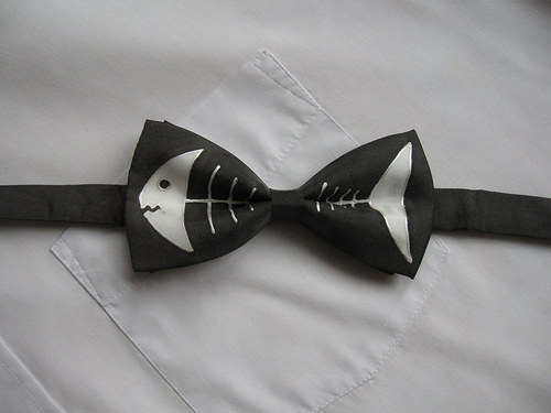 Pánský motýlek - Kostřička elegán — foto 5
