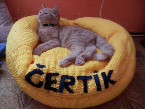 Pelíšky Vašík a Čertík — foto 2