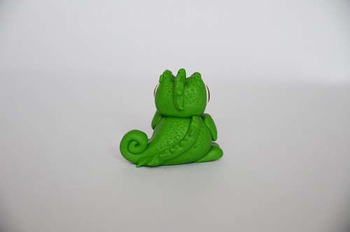 Chameleonek na přání — foto 3
