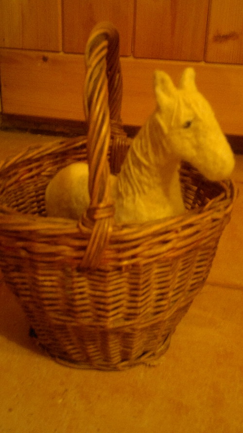 Koník Ferda — foto 4
