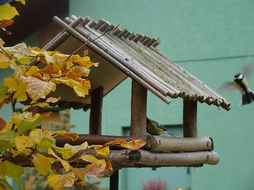 Krmítko XXL — foto 5