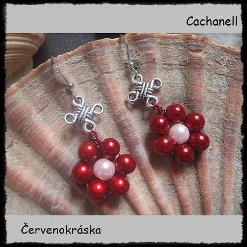 Červenokráska — foto 2