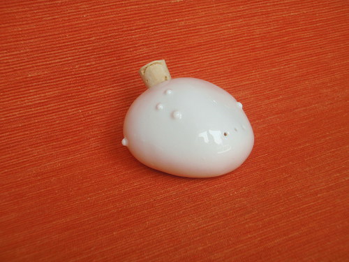 Slánka kámen puntikatá — foto 2