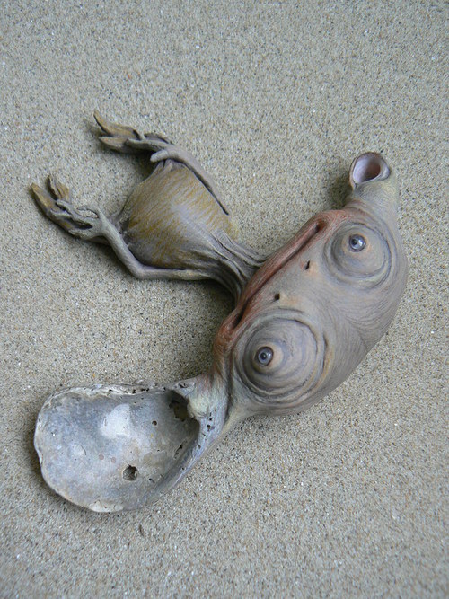 Křovínek veleuchý — foto 2