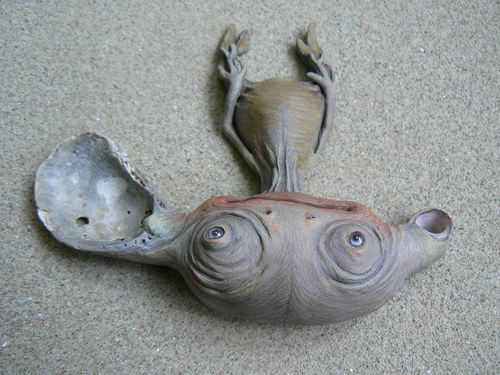 Křovínek veleuchý — foto 3