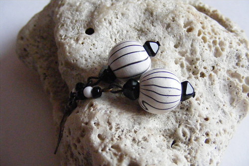 Zebra malá — foto 2