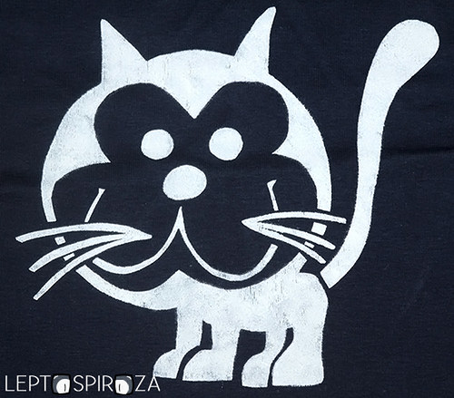 Kitty LEPTO:TOP — foto 2