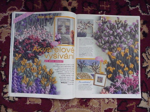 Praktická žena — foto 2