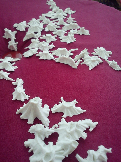 Porcelánový korál — foto 2