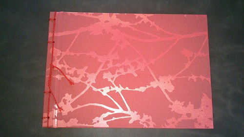 Fotoalbum — foto 2