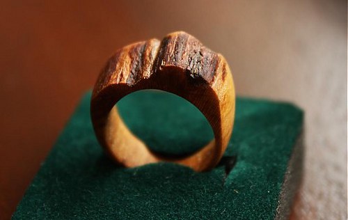 Drevený prsteň prírody — foto 4