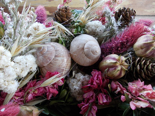 Luční romantik — foto 6