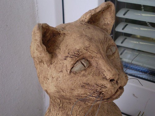 Číča zrzečka — foto 2