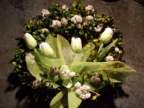 Tulipánovník — foto 2