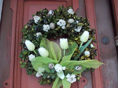 Tulipánovník — foto 5