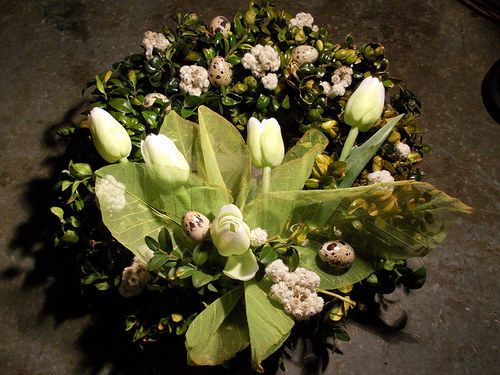 Tulipánovník — foto 6