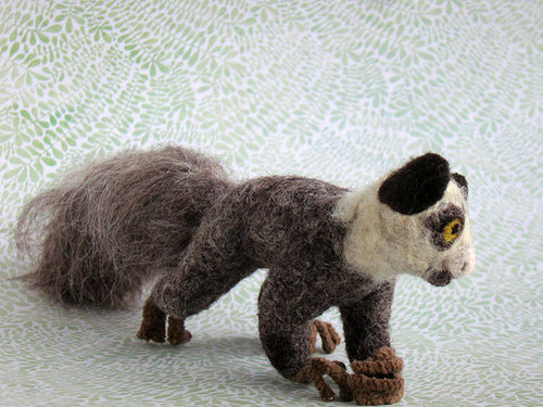 Lemur Ája — foto 3