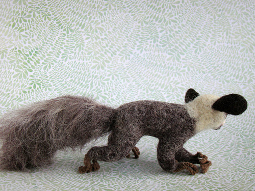 Lemur Ája — foto 4