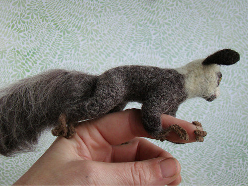 Lemur Ája — foto 6