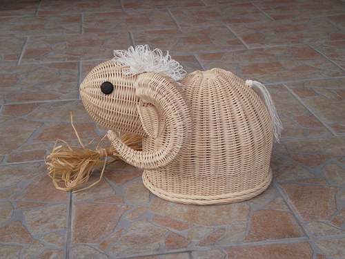 Beránek rohatý — foto 2